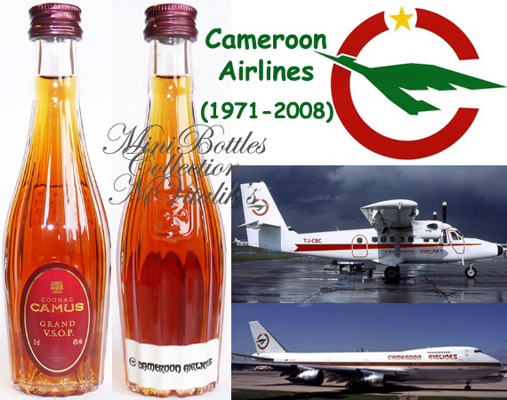 Cameroon Airlines