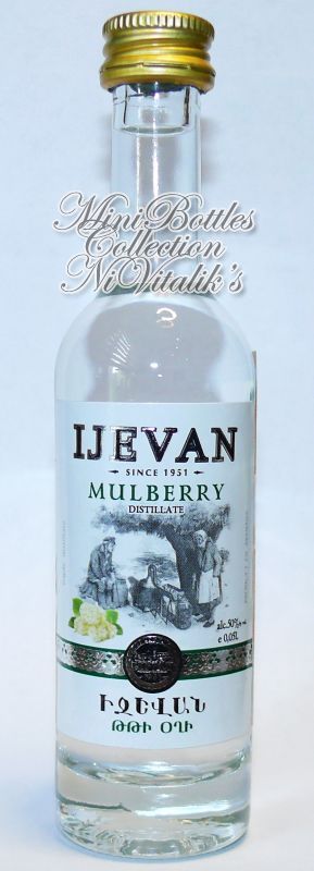 Ijevan Mulberry