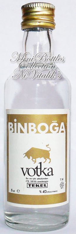 Binboga