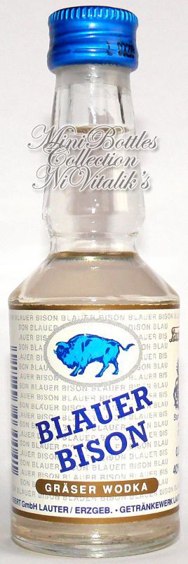 Blauer Bison