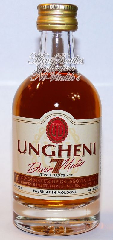 Ungheni 7