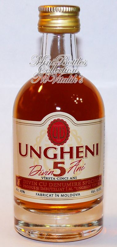 Ungheni 5