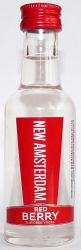 New Amsterdam
