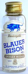 Blauer Bison