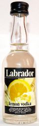 Labrador Lemon