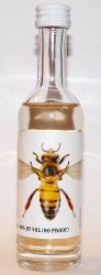 Spring 44 Honey