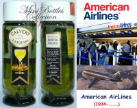 American Airlines