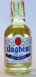 Ungheni