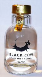 Black Cow