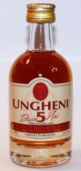 Ungheni 5